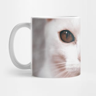 Cat Brothers Mug